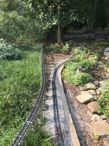 Along the forest path